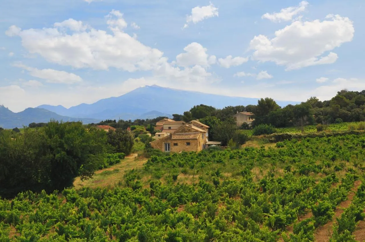 Chambres d'Hôtes et Gîtes Le Mas Mellou Orange  Orange (Vaucluse)